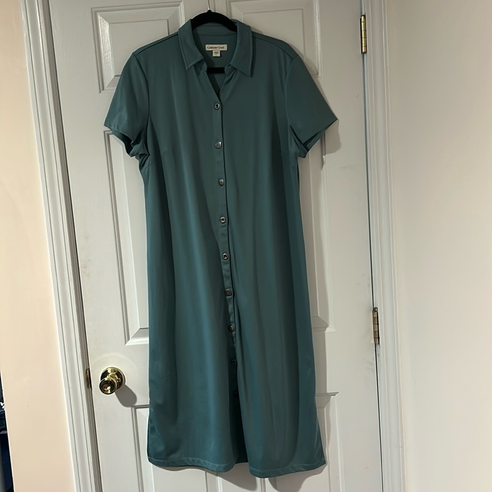 Coldwater Creek Silver Green Buttoned Maxi Dress